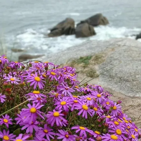 Oda ve Kahvaltı Les De Kerchelgen Saint-Sauveur (Finistere)